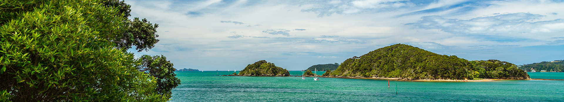 PKF Bay of Islands